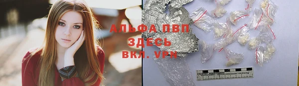 стаф Аркадак