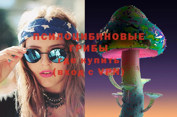 не бодяженный Алексин
