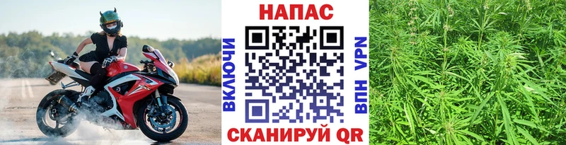 Бошки марихуана ГИДРОПОН  дарнет шоп  Цимлянск 
